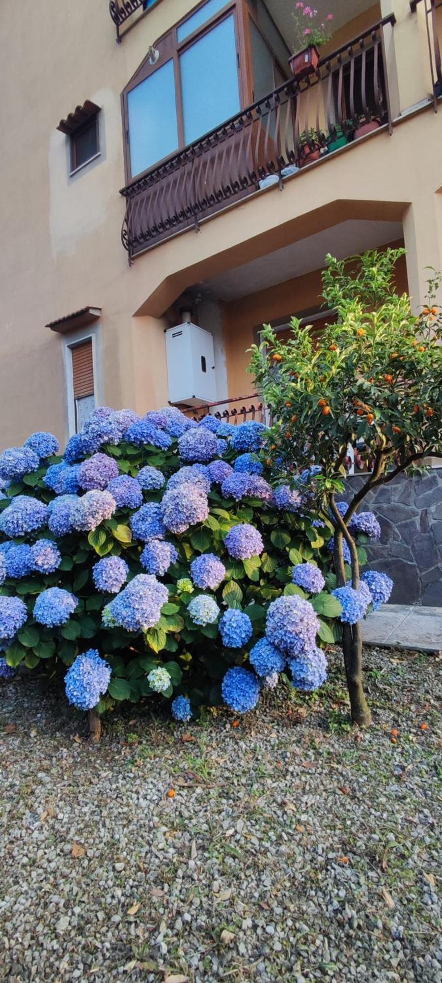 Appartamento Napoli Pompei Sorrento Positano Con Posto Auto กราญาโน ภายนอก รูปภาพ